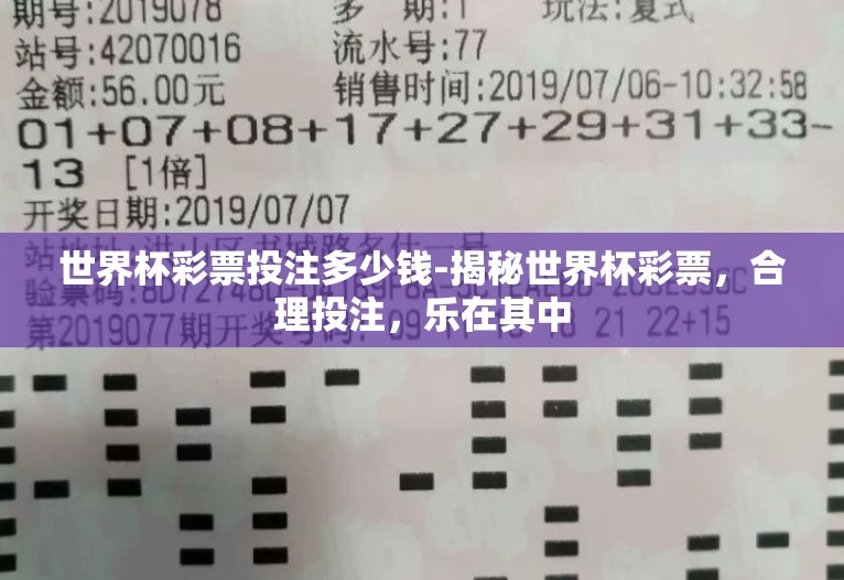 世界杯彩票投注多少钱-揭秘世界杯彩票，合理投注，乐在其中