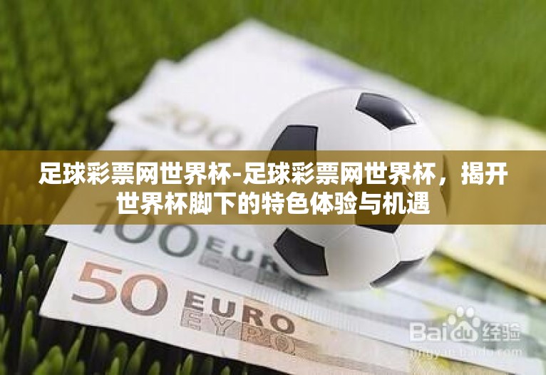 足球彩票网世界杯-足球彩票网世界杯，揭开世界杯脚下的特色体验与机遇