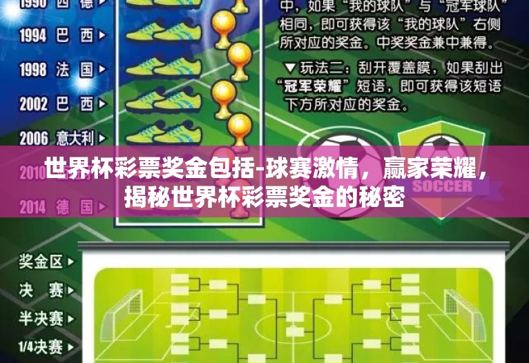 世界杯彩票奖金包括-球赛激情，赢家荣耀，揭秘世界杯彩票奖金的秘密