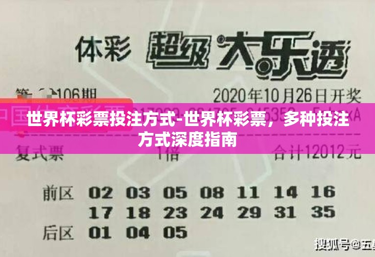 世界杯彩票投注方式-世界杯彩票，多种投注方式深度指南