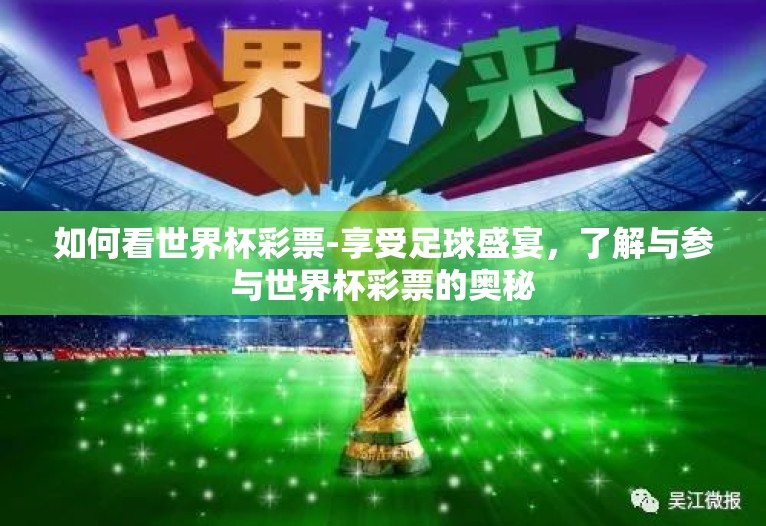 如何看世界杯彩票-享受足球盛宴，了解与参与世界杯彩票的奥秘