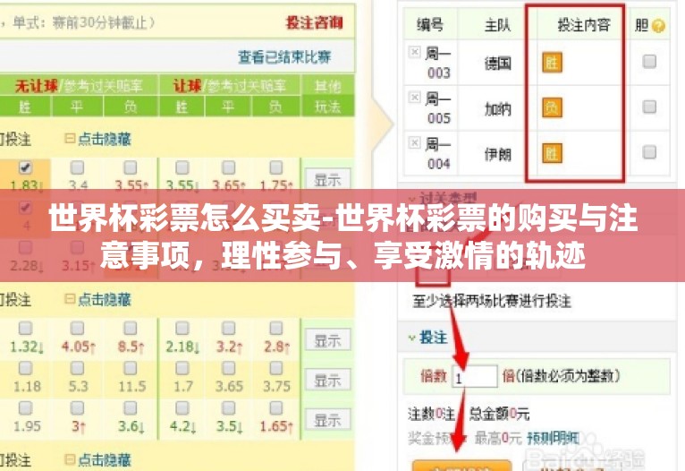 世界杯彩票怎么买卖-世界杯彩票的购买与注意事项，理性参与、享受激情的轨迹