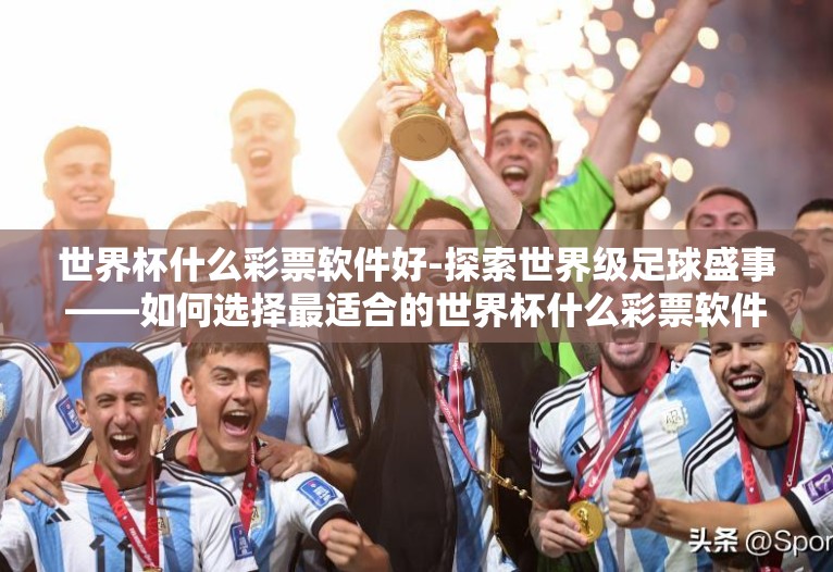世界杯什么彩票软件好-探索世界级足球盛事——如何选择最适合的世界杯什么彩票软件
