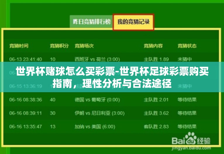 世界杯赌球怎么买彩票-世界杯足球彩票购买指南，理性分析与合法途径