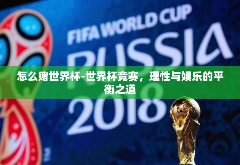 怎么赌世界杯-世界杯竞赛，理性与娱乐的平衡之道