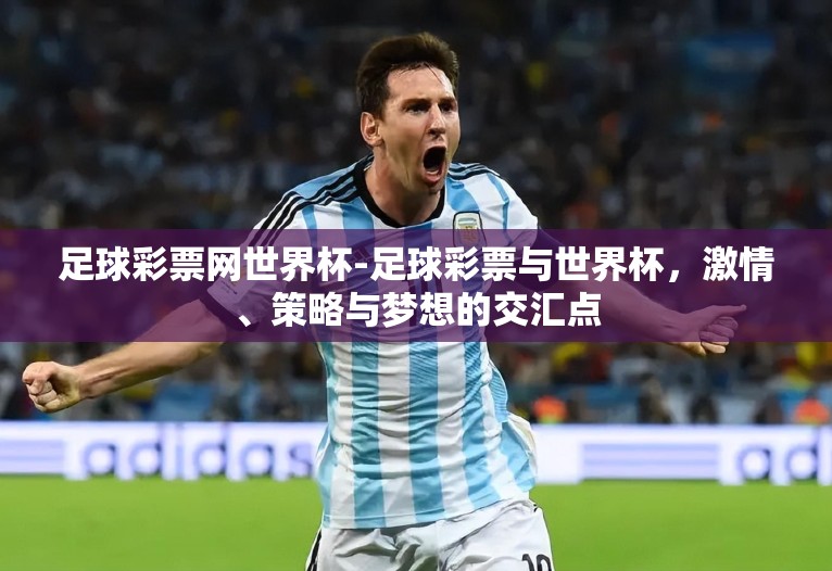 足球彩票网世界杯-足球彩票与世界杯，激情、策略与梦想的交汇点