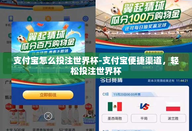 支付宝怎么投注世界杯-支付宝便捷渠道，轻松投注世界杯