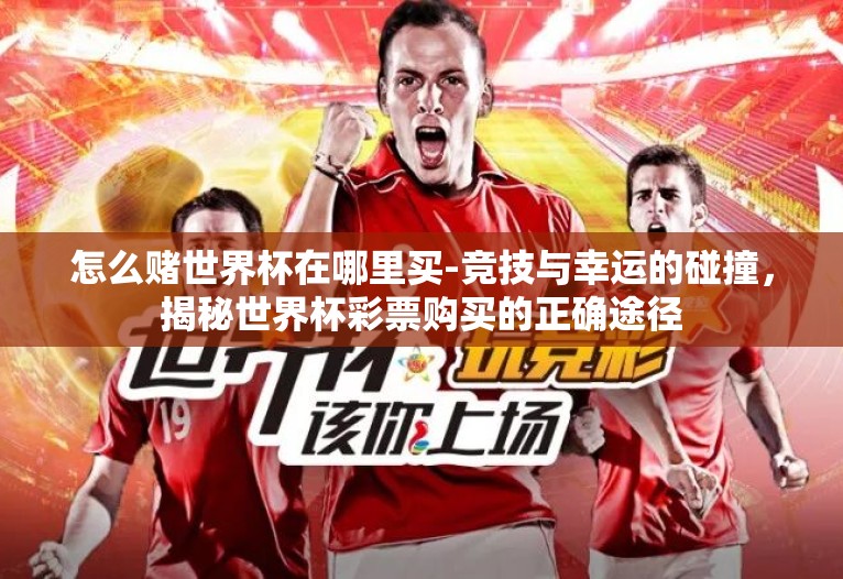 怎么赌世界杯在哪里买-竞技与幸运的碰撞，揭秘世界杯彩票购买的正确途径