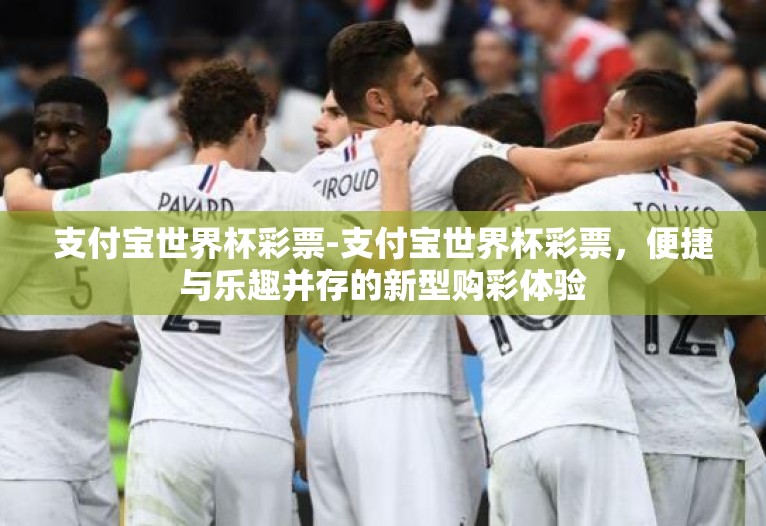 支付宝世界杯彩票-支付宝世界杯彩票，便捷与乐趣并存的新型购彩体验