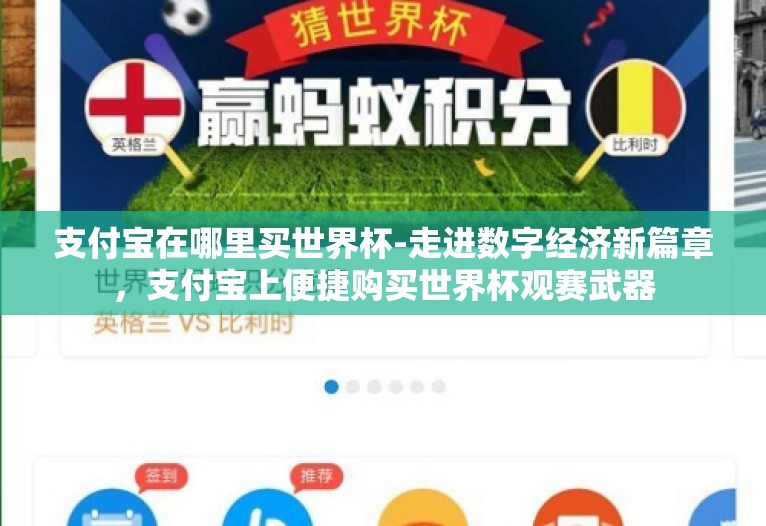 支付宝在哪里买世界杯-走进数字经济新篇章，支付宝上便捷购买世界杯观赛武器