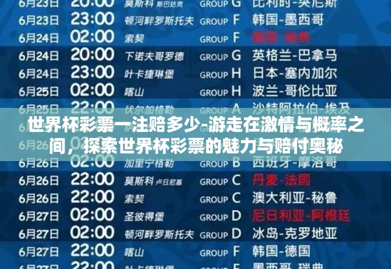 世界杯彩票一注赔多少-游走在激情与概率之间，探索世界杯彩票的魅力与赔付奥秘