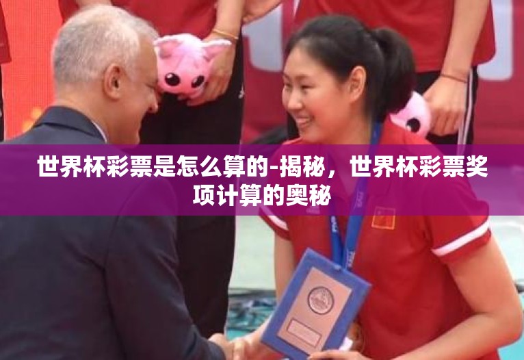 世界杯彩票是怎么算的-揭秘，世界杯彩票奖项计算的奥秘