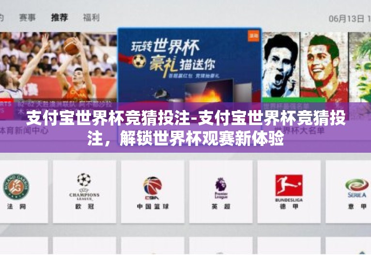 支付宝世界杯竞猜投注-支付宝世界杯竞猜投注，解锁世界杯观赛新体验
