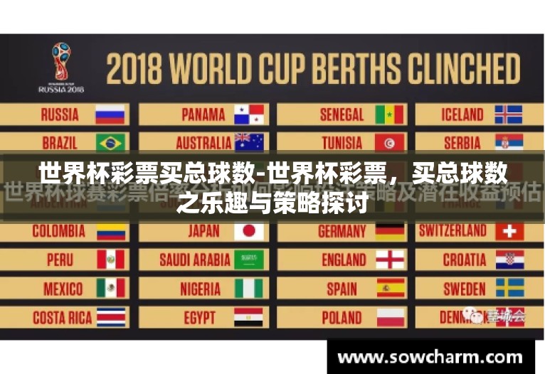 世界杯彩票买总球数-世界杯彩票，买总球数之乐趣与策略探讨