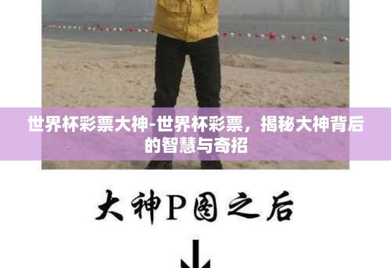 世界杯彩票大神-世界杯彩票，揭秘大神背后的智慧与奇招