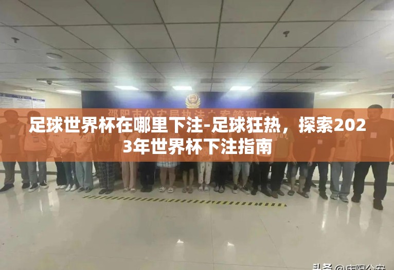 足球世界杯在哪里下注-足球狂热，探索2023年世界杯下注指南