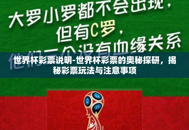 世界杯彩票说明-世界杯彩票的奥秘探研,揭秘彩票玩法与注意事项 世界杯彩票说明-世界杯彩票的奥秘探研,揭秘彩票玩法与注意事项