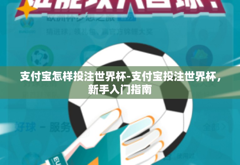 支付宝怎样投注世界杯-支付宝投注世界杯，新手入门指南