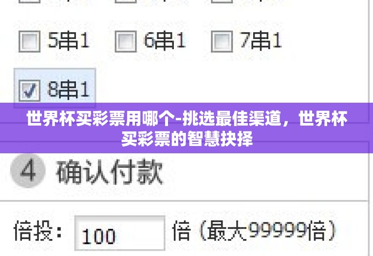 世界杯买彩票用哪个-挑选最佳渠道，世界杯买彩票的智慧抉择