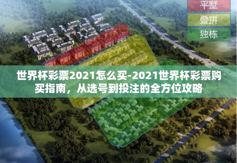 世界杯彩票2021怎么买-2021世界杯彩票购买指南，从选号到投注的全方位攻略