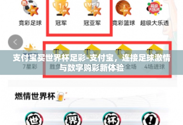 支付宝买世界杯足彩-支付宝，连接足球激情与数字购彩新体验