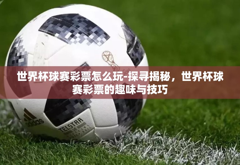 世界杯球赛彩票怎么玩-探寻揭秘，世界杯球赛彩票的趣味与技巧