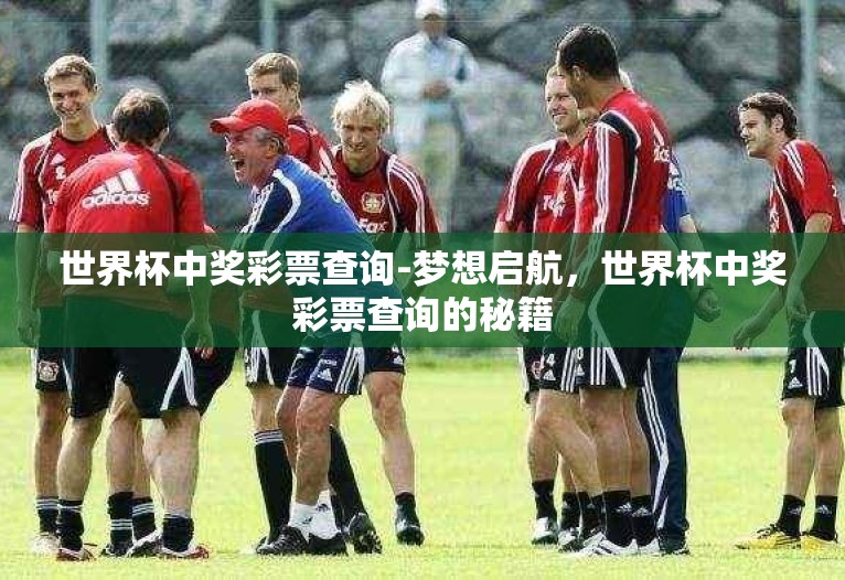 世界杯中奖彩票查询-梦想启航，世界杯中奖彩票查询的秘籍