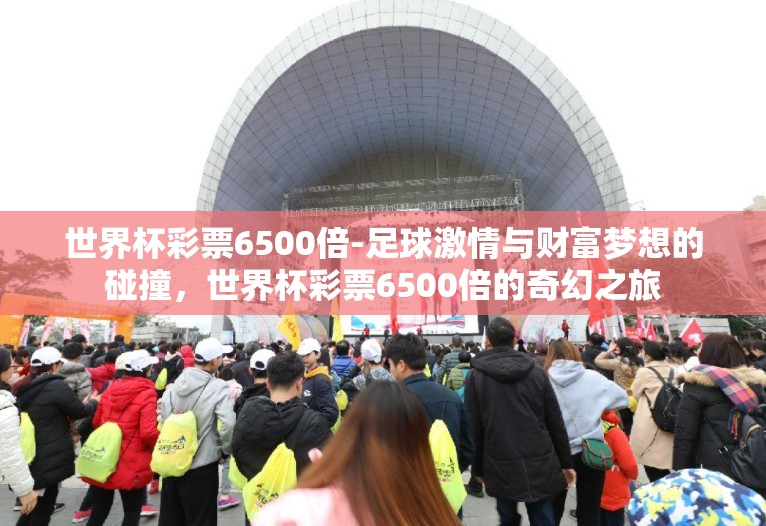 世界杯彩票6500倍-足球激情与财富梦想的碰撞，世界杯彩票6500倍的奇幻之旅