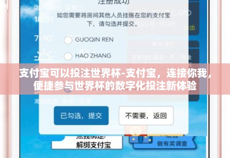 支付宝可以投注世界杯-支付宝，连接你我，便捷参与世界杯的数字化投注新体验