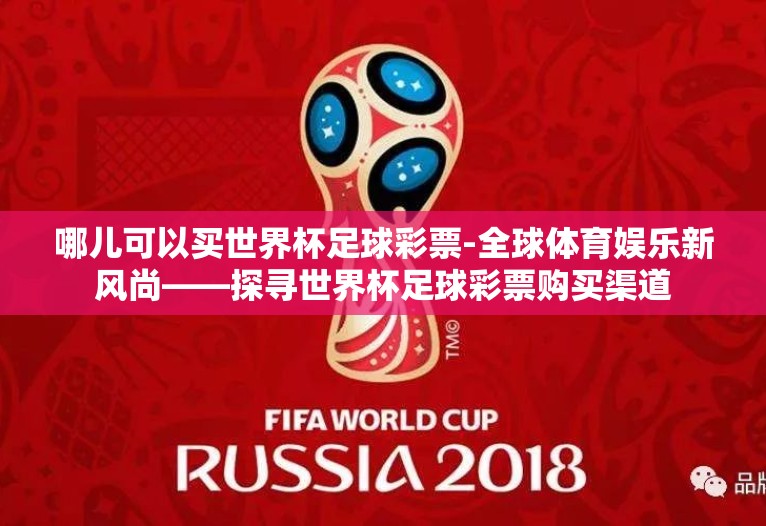哪儿可以买世界杯足球彩票-全球体育娱乐新风尚——探寻世界杯足球彩票购买渠道
