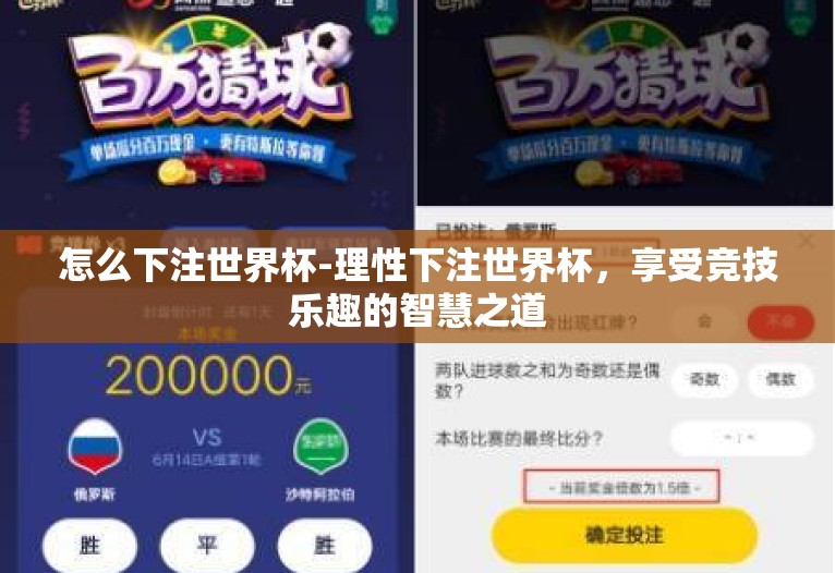 怎么下注世界杯-理性下注世界杯,享受竞技乐趣的智慧之道 怎么下注世界杯-理性下注世界杯,享受竞技乐趣的智慧之道