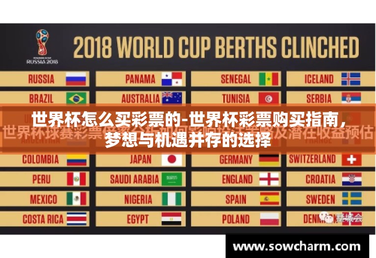 世界杯怎么买彩票的-世界杯彩票购买指南，梦想与机遇并存的选择