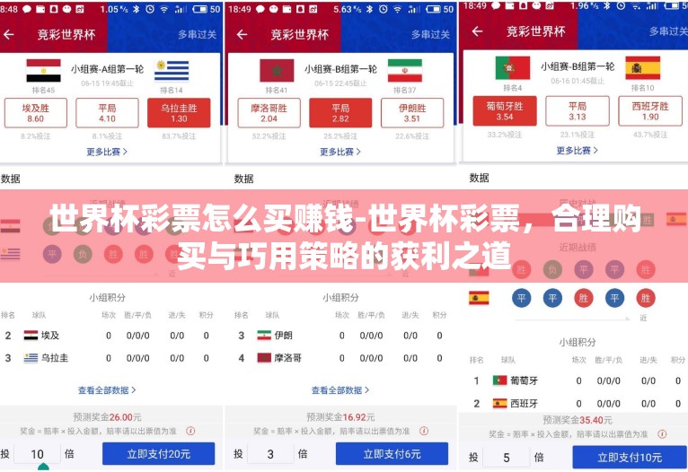 世界杯彩票怎么买赚钱-世界杯彩票，合理购买与巧用策略的获利之道