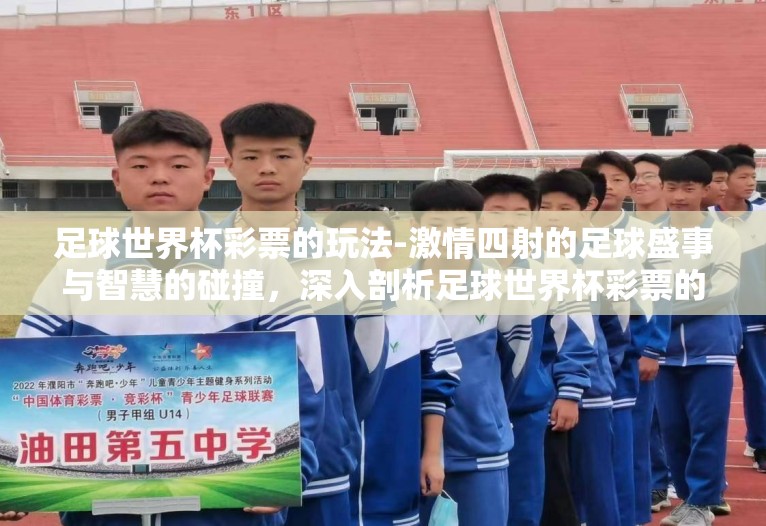 足球世界杯彩票的玩法-激情四射的足球盛事与智慧的碰撞,深入剖析足球世界杯彩票的玩法 足球世界杯彩票的玩法-激情四射的足球盛事与智慧的碰撞,深入剖析足球世界杯彩票的玩法