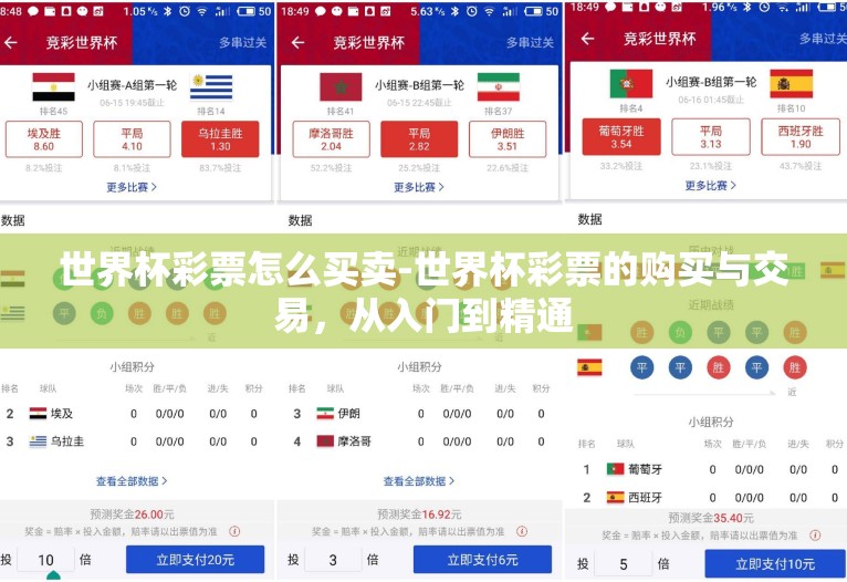 世界杯彩票怎么买卖-世界杯彩票的购买与交易,从入门到精通 世界杯彩票怎么买卖-世界杯彩票的购买与交易,从入门到精通