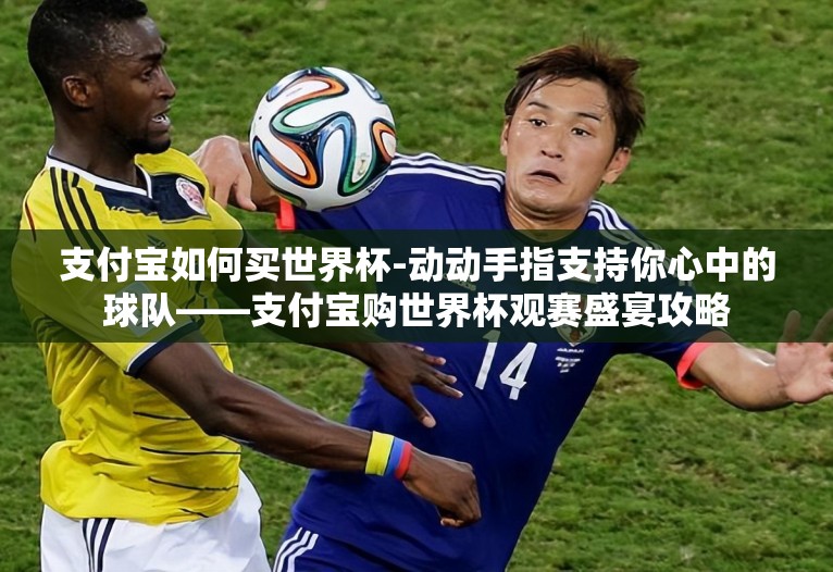 支付宝如何买世界杯-动动手指支持你心中的球队——支付宝购世界杯观赛盛宴攻略 支付宝如何买世界杯-动动手指支持你心中的球队——支付宝购世界杯观赛盛宴攻略