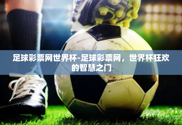 足球彩票网世界杯-足球彩票网,世界杯狂欢的智慧之门 足球彩票网世界杯-足球彩票网,世界杯狂欢的智慧之门