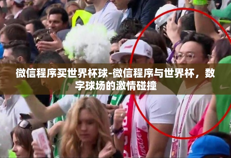 微信程序买世界杯球-微信程序与世界杯,数字球场的激情碰撞 微信程序买世界杯球-微信程序与世界杯,数字球场的激情碰撞