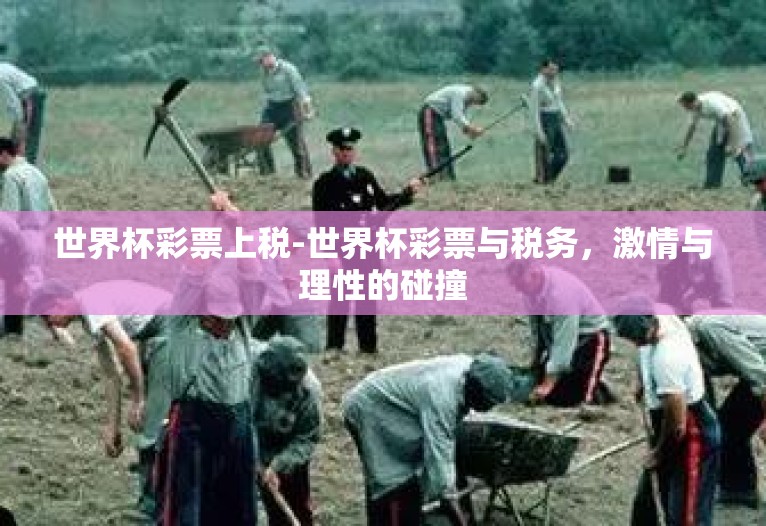 世界杯彩票上税-世界杯彩票与税务,激情与理性的碰撞 世界杯彩票上税-世界杯彩票与税务,激情与理性的碰撞
