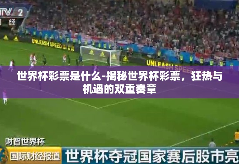 世界杯彩票是什么-揭秘世界杯彩票,狂热与机遇的双重奏章 世界杯彩票是什么-揭秘世界杯彩票,狂热与机遇的双重奏章