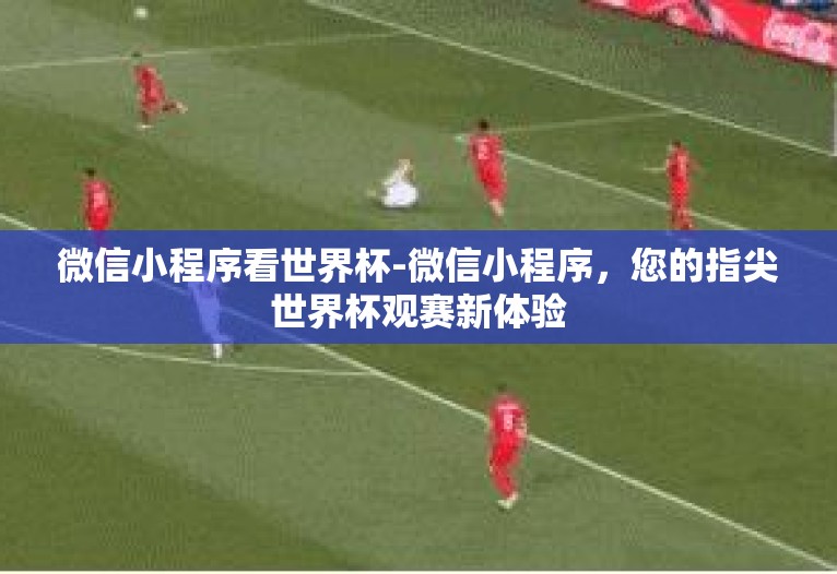 微信小程序看世界杯-微信小程序,您的指尖世界杯观赛新体验 微信小程序看世界杯-微信小程序,您的指尖世界杯观赛新体验