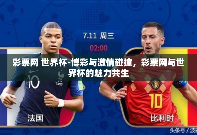 彩票网 世界杯-博彩与激情碰撞，彩票网与世界杯的魅力共生