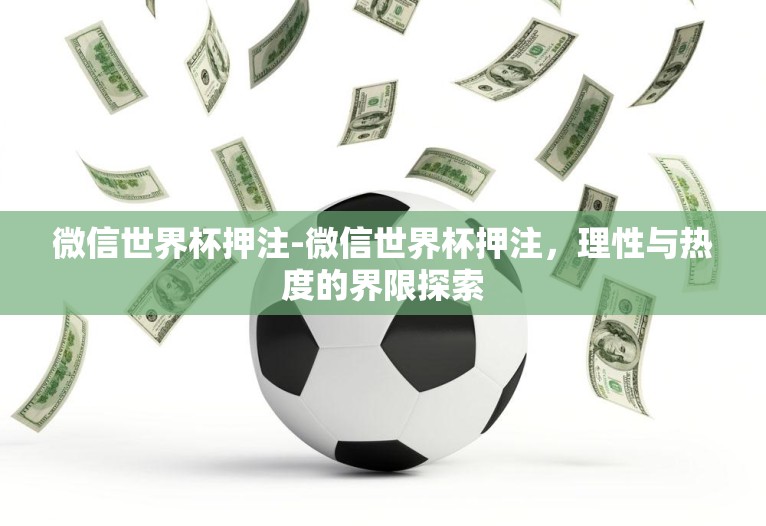 微信世界杯押注-微信世界杯押注，理性与热度的界限探索