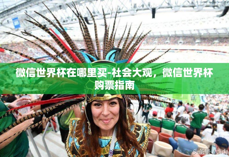 微信世界杯在哪里买-社会大观，微信世界杯购票指南
