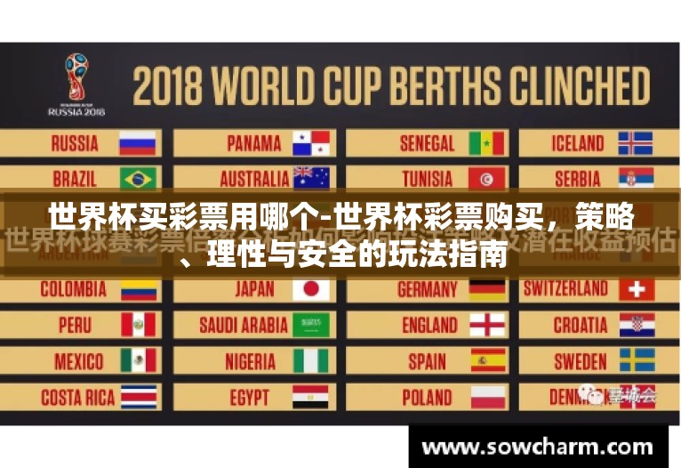 世界杯买彩票用哪个-世界杯彩票购买，策略、理性与安全的玩法指南