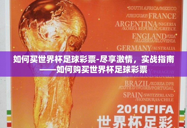 如何买世界杯足球彩票-尽享激情，实战指南——如何购买世界杯足球彩票