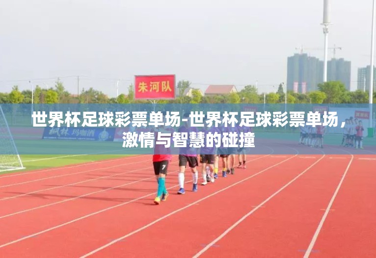 世界杯足球彩票单场-世界杯足球彩票单场,激情与智慧的碰撞 世界杯足球彩票单场-世界杯足球彩票单场,激情与智慧的碰撞