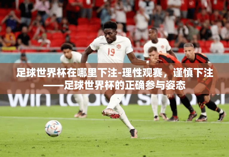 足球世界杯在哪里下注-理性观赛，谨慎下注——足球世界杯的正确参与姿态