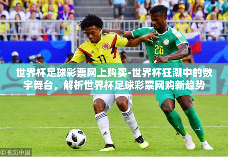 世界杯足球彩票网上购买-世界杯狂潮中的数字舞台，解析世界杯足球彩票网购新趋势
