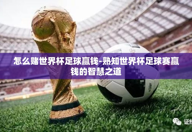 怎么赌世界杯足球赢钱-熟知世界杯足球赛赢钱的智慧之道